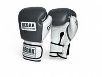 BEBAK | GELDOX Training/Sparring