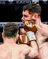 Felix Sturm Limited Edition Boxhandschuhe – 1 bis 50 Stück