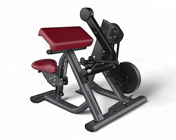 Bizep  Curl  Plate Loaded