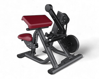 Bizep  Curl  Plate Loaded