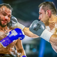 BEBAK | ARCUS Fight