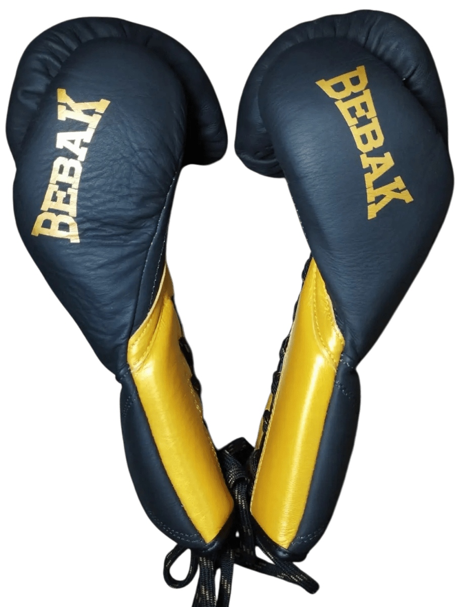 BEBAK | NOX Fight