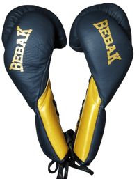 BEBAK | NOX Fight