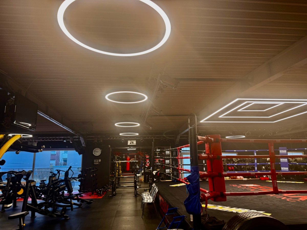 Bebak Atmos LED – Ring-Deckenleuchte 100–180 cm | 70/80W, Aluminium