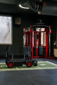 übrigens die Sprintstrecke und den Wagen für Gewichte auch