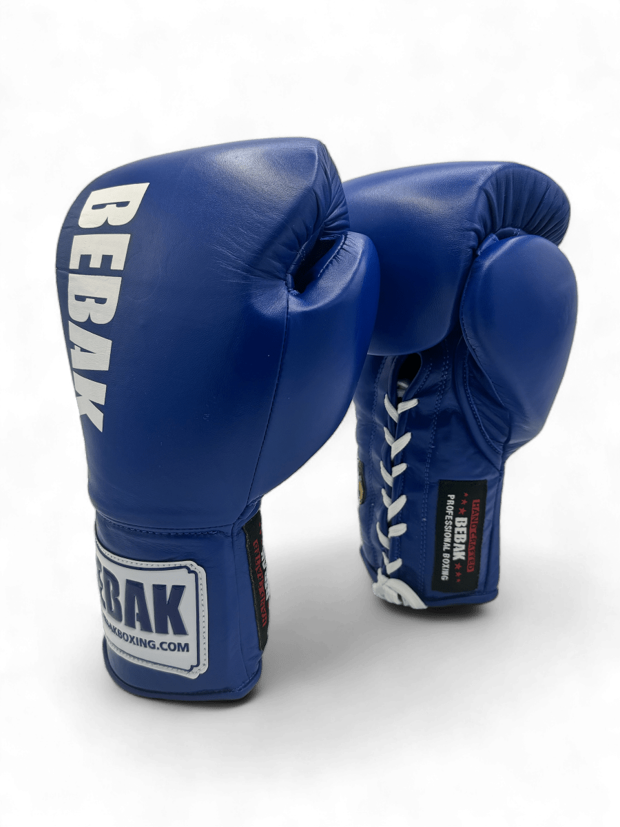BEBAK - Leather boxing gloves BDB competition