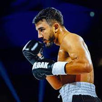 BEBAK - Leather boxing gloves BDB competition