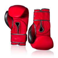 BEBAK BOXING Duo Sparring Boxhandschuhe Kunstleder - BEBAK BOXING