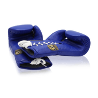 BEBAK BOXING Wettkampf Leder Boxhandschuhe BDB-zertifiziert - BEBAK BOXING