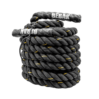 BEBAK PRO Battle Rope XXL inkl. Wandbefestigung - BEBAK BOXING