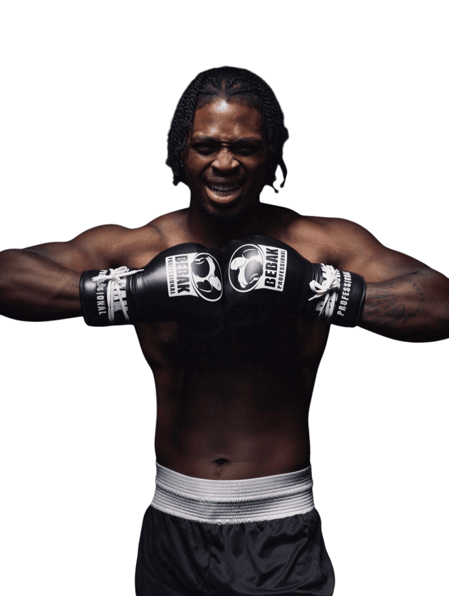 Boxhandschuhe (Burn) - BEBAK BOXING