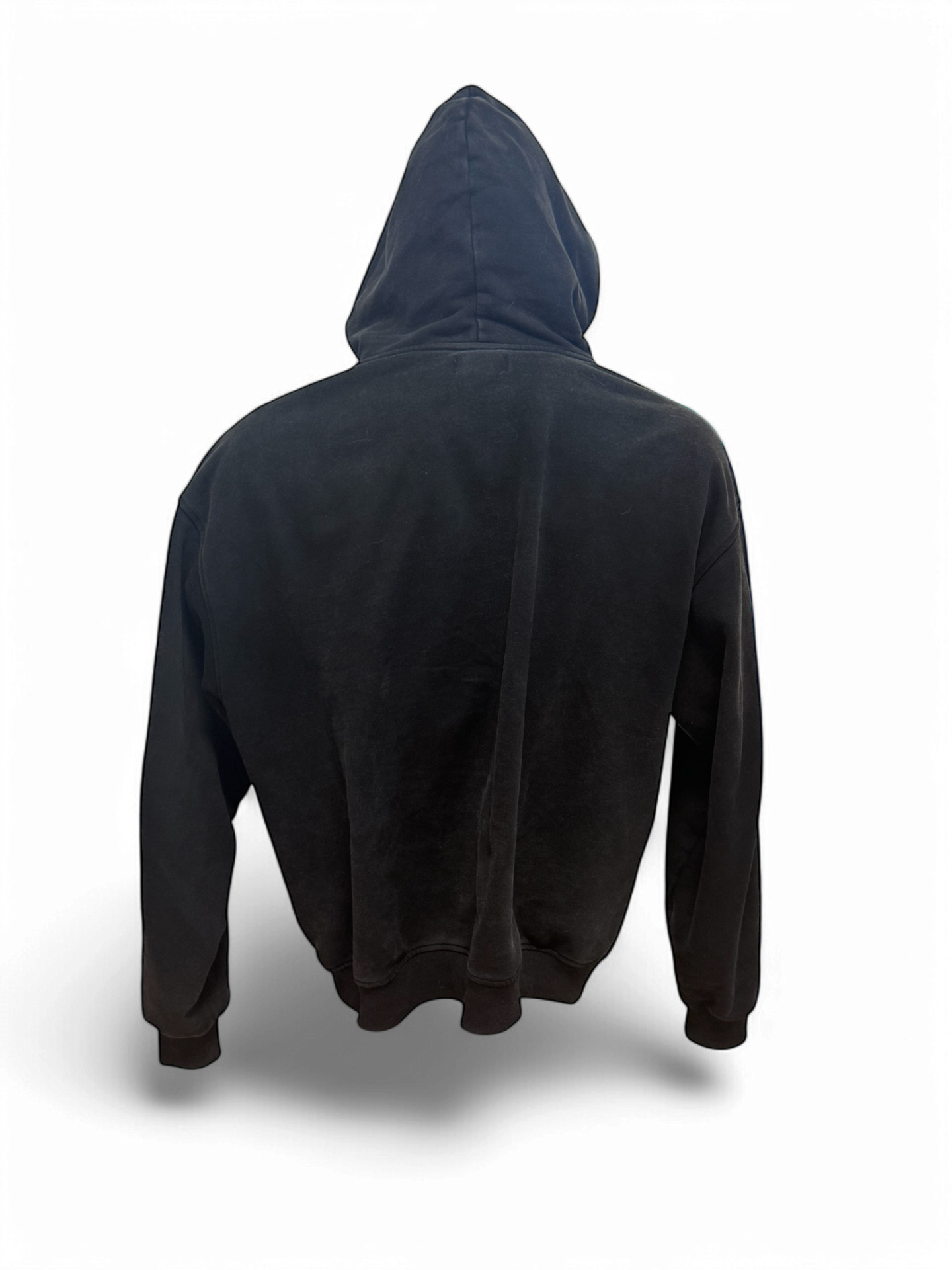 Bebak pro  Hodie