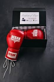 BEBAK BOXING Wedstrijd lederen bokshandschoenen BDB-gecertificeerd - BEBAK BOXING