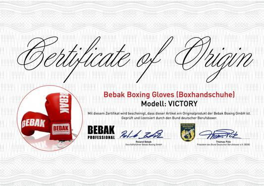 BEBAK BOXING Wettkampf Victory BDB Leder - BEBAK BOXING