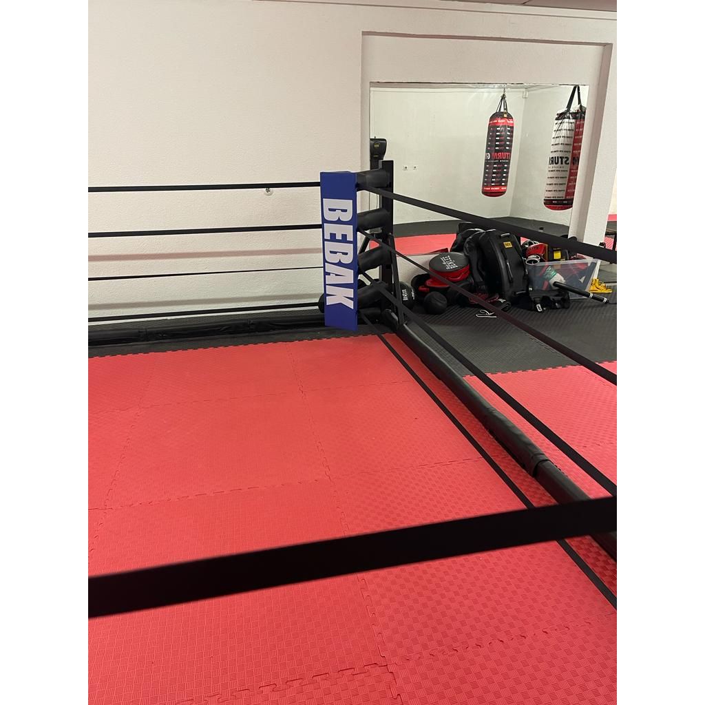 Bebak Professional foldable boxing ring