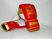 BEBAK | STRIKE Training/Sparring