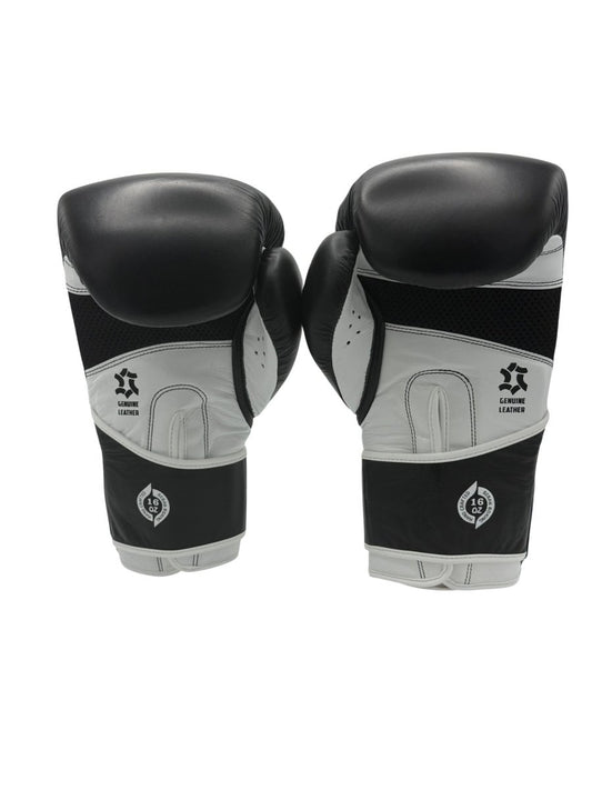 BEBAK | ARCUS Training/Sparring - BEBAK BOXING