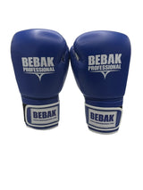 BEBAK | ARCUS Training/Sparring - BEBAK BOXING