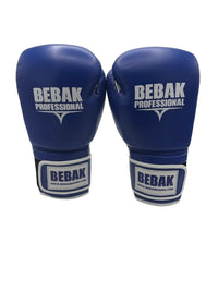 BEBAK | ARCUS Training/Sparring - BEBAK BOXING