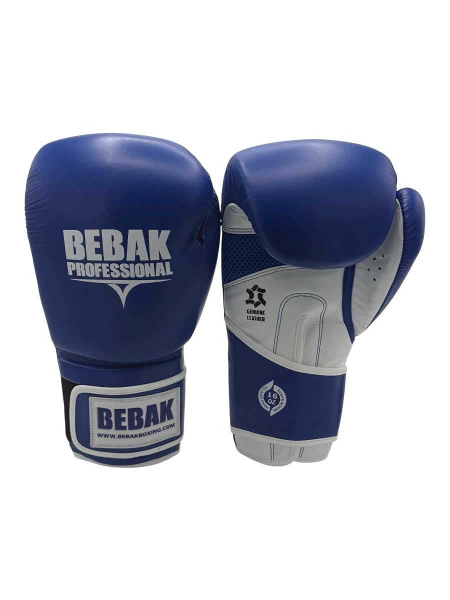 BEBAK | ARCUS Training/Sparring - BEBAK BOXING