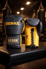 BEBAK | LYNX Fight - BEBAK BOXING