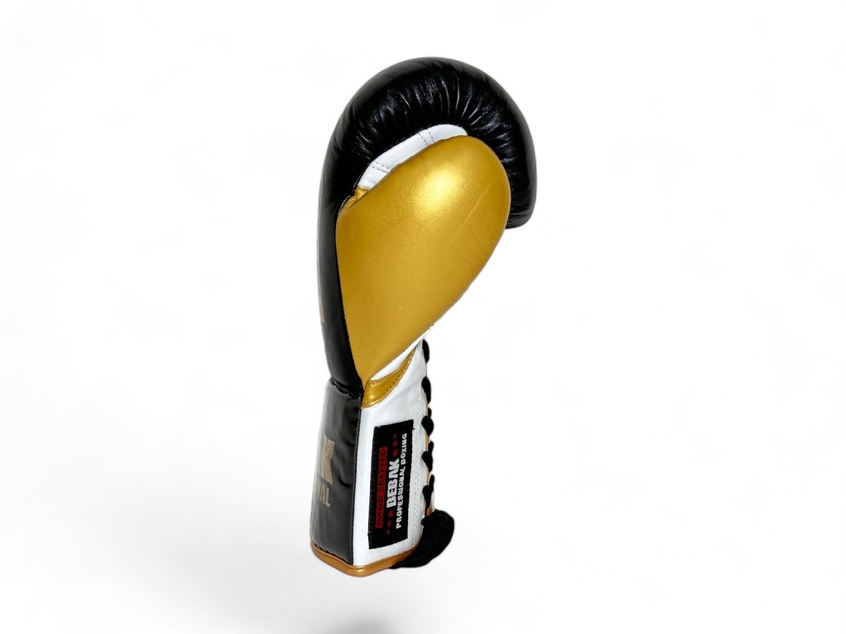 BEBAK | NEXURA Fight - BEBAK BOXING