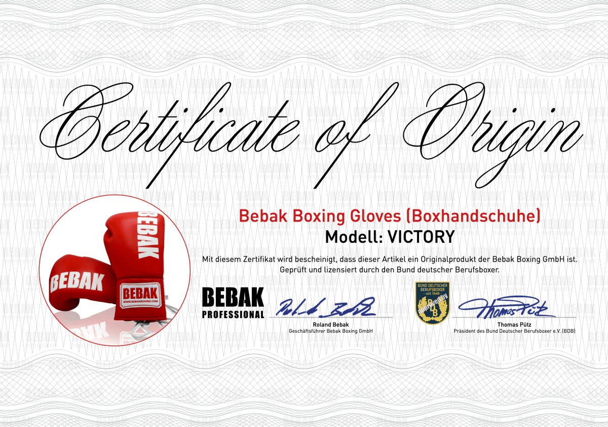 BEBAK | VICTORY Black Edition Fight - BEBAK BOXING
