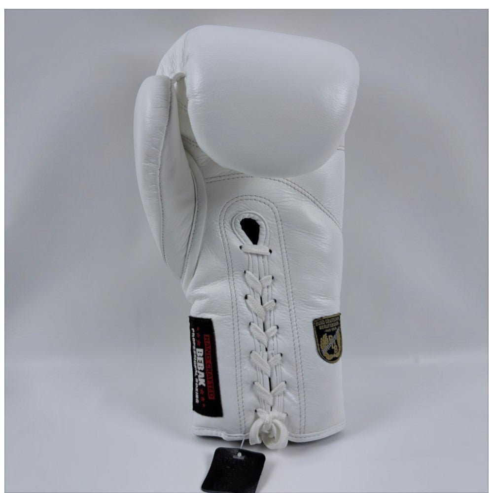 BEBAK | VICTORY Fight - BEBAK BOXING