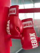 BEBAK BOXING Wettkampf Victory BDB Leder - BEBAK BOXING